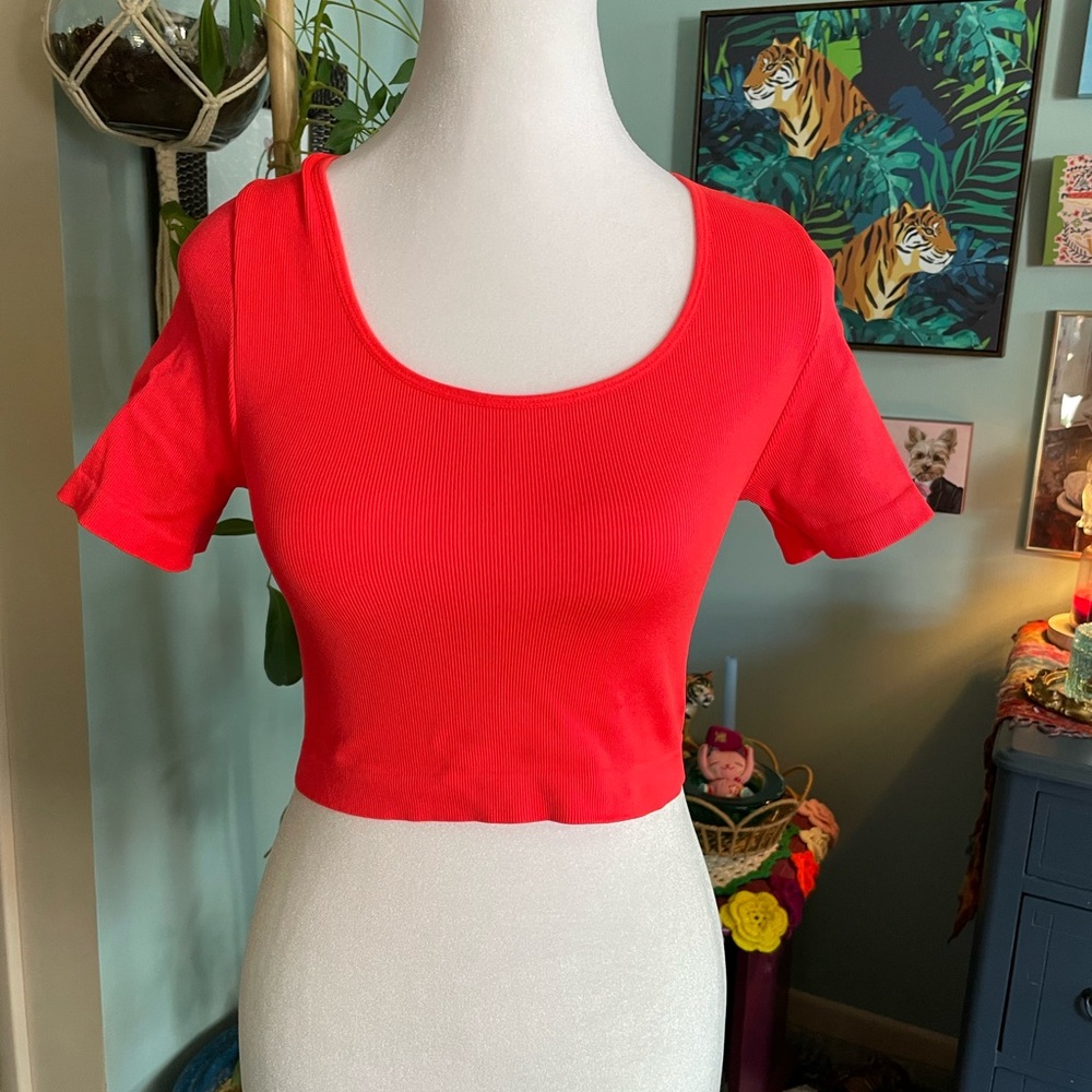 Women's Orange  Scooped Neck Crop Top